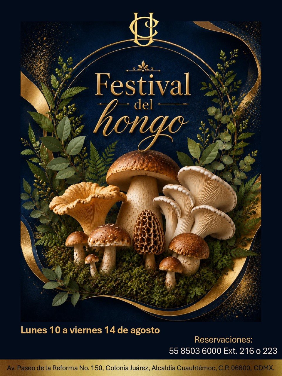 festival-del-hongo